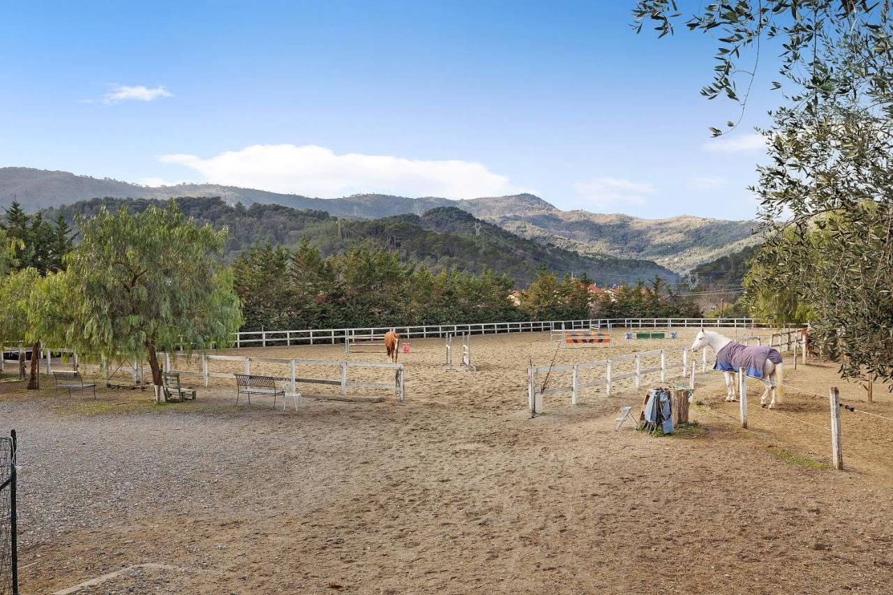 Messalina Agriturismo La Scuderia Molino Nuovo  Εξωτερικό φωτογραφία